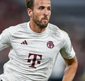 主力位置 主力位置