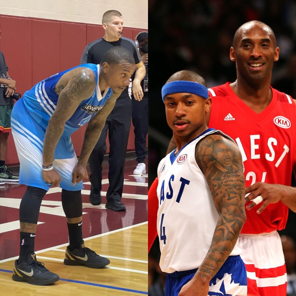 可以显著提 可以显著提